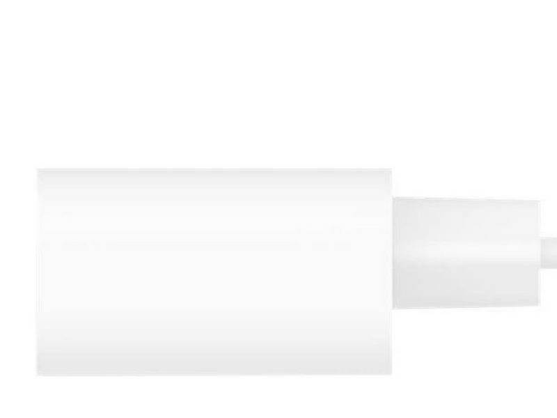 Belkin BoostCharge USB-C PD 3.0 PPS Wall Charger 25W - White