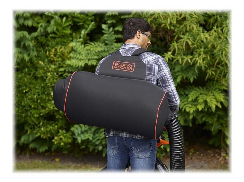 Black & Decker BEBLV300-QS