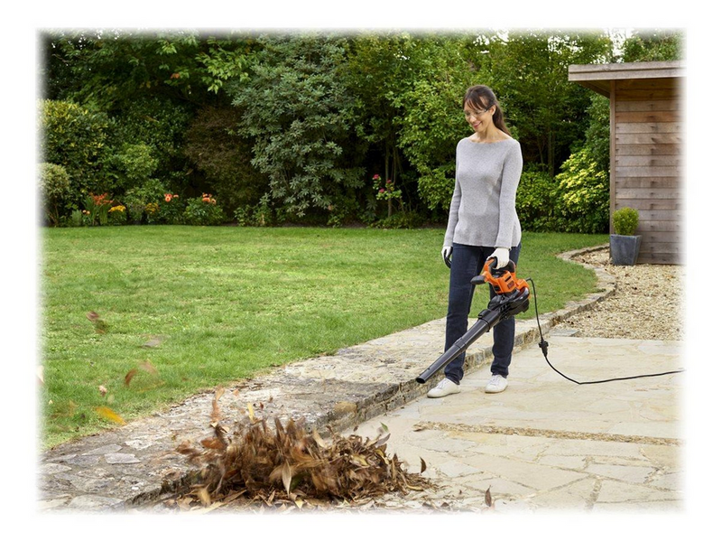 Black & Decker BEBLV300-QS