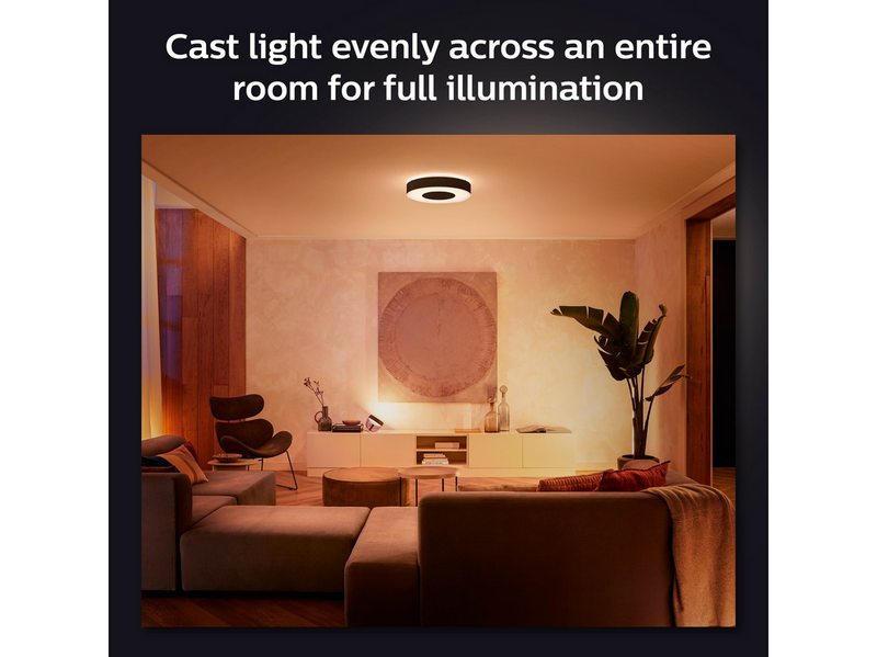 Philips Hue Infuse Large Ceilling Plafond Light - Black