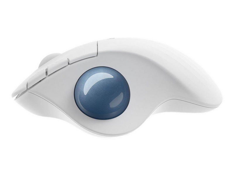 Logitech ERGO M575 for Business - Trackball (Schwarz)