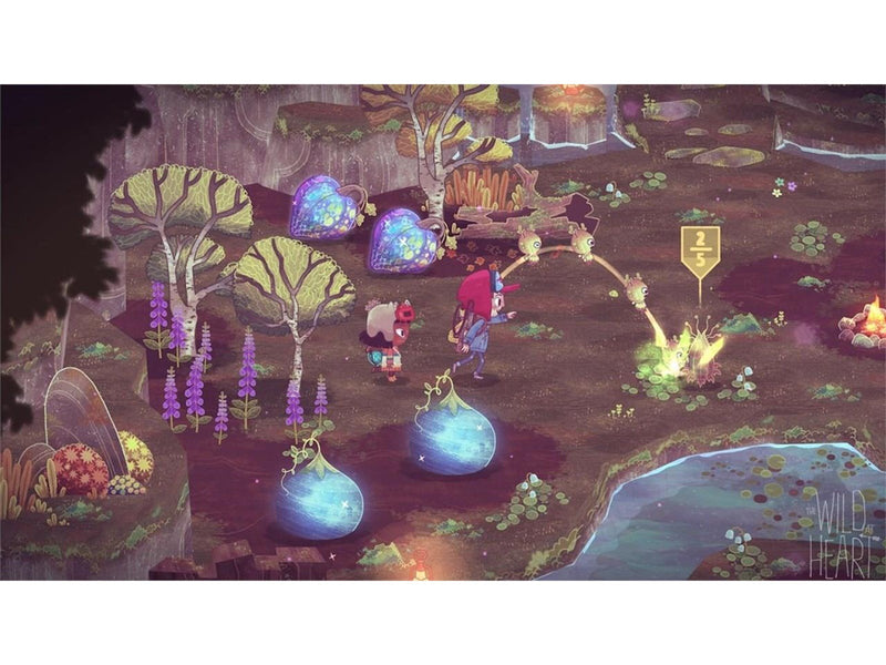 The Wild at Heart PS4 - Sony PlayStation 4 - Abenteuer - PEGI 7