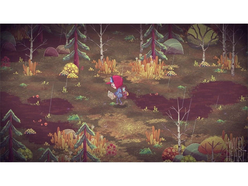 The Wild at Heart PS4 - Sony PlayStation 4 - Abenteuer - PEGI 7