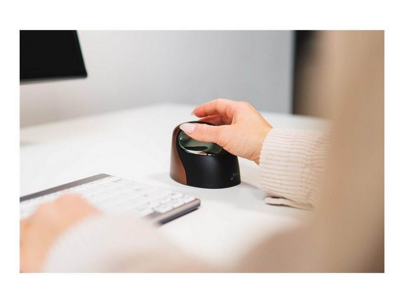 Bakker Elkhuizen Evoluent4 Small Wireless - mouse - Maus ()
