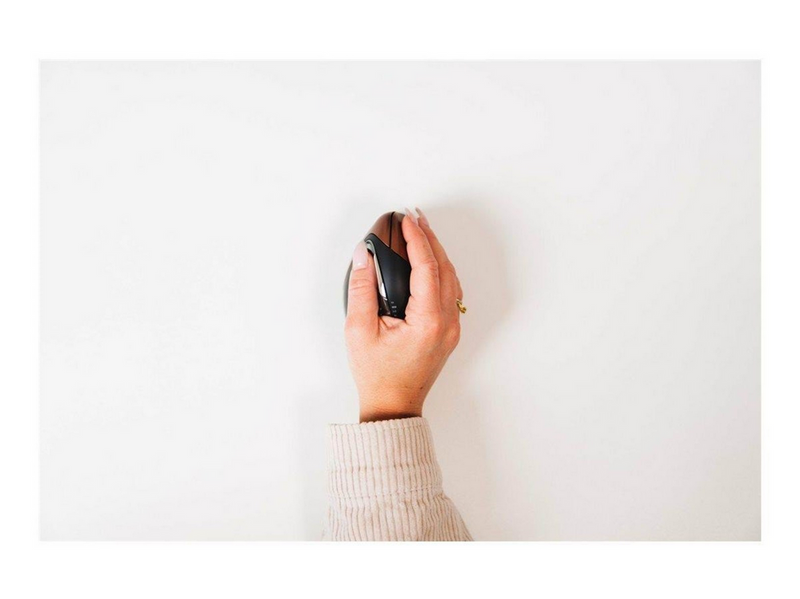 Bakker Elkhuizen Evoluent4 Small Wireless - mouse - Maus ()