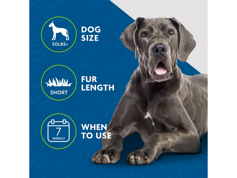 FURminator Deshedder for Large Dogs Short Hair