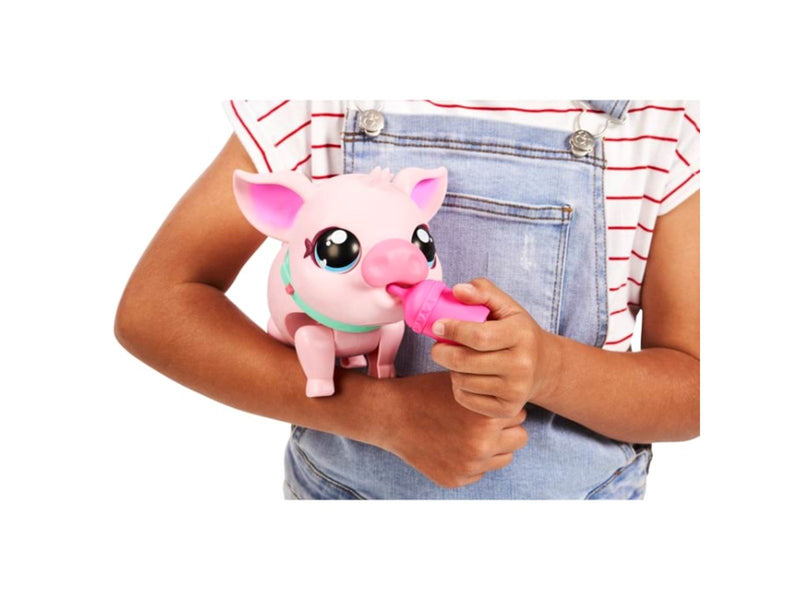 Little Live Pets PIGGLES S1 SGL PACK