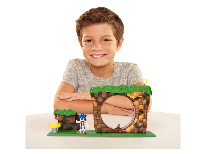 Sonic Green Hill Zone Playset