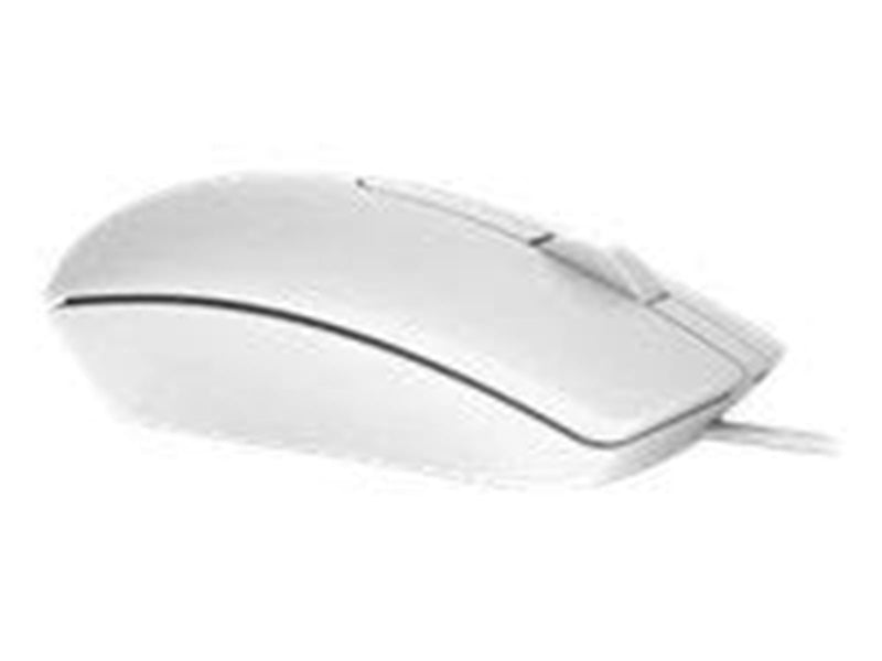 Dell MS116 - Maus (Weiß)