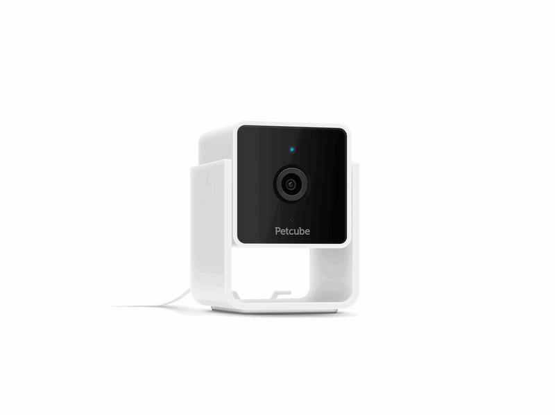 Petcube Cam