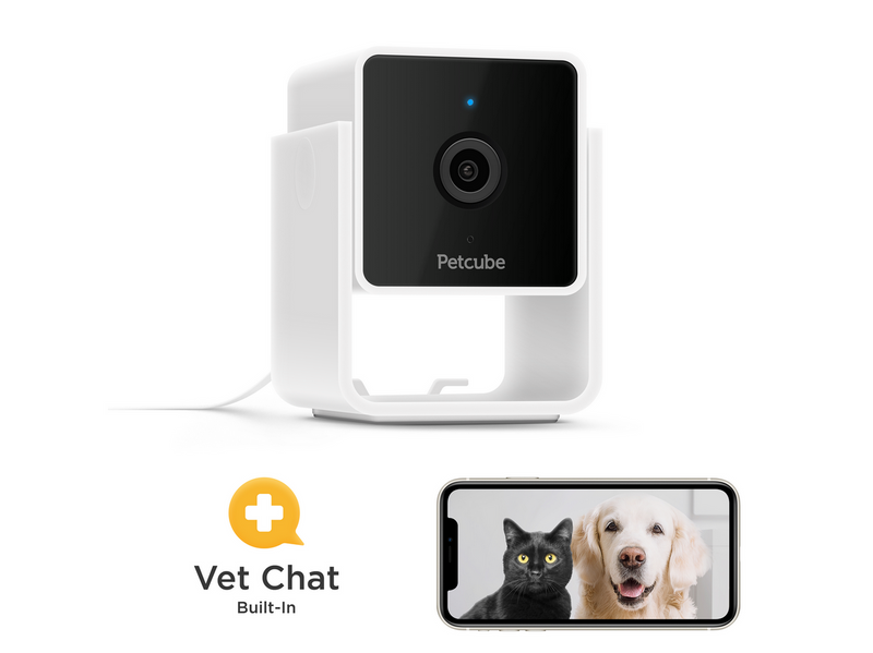 Petcube Cam