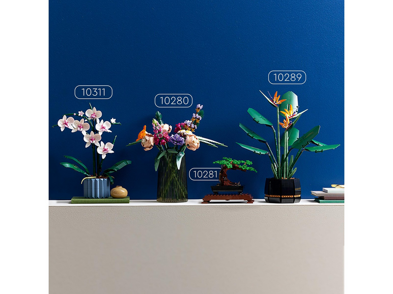 LEGO Icons 10311 Orchidee