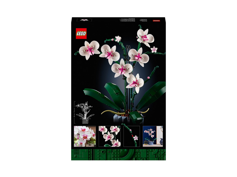 LEGO Icons 10311 Orchidee