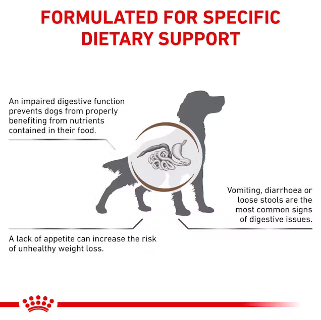 Royal Canin Gastrointestinal Dry Dog Food 15 kg