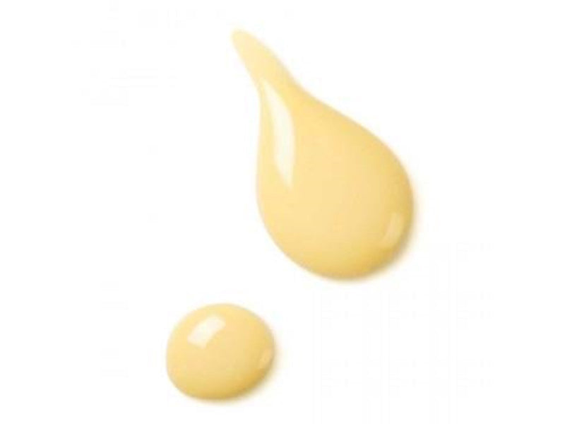 Dr. Hauschka Revitalising Day Lotion