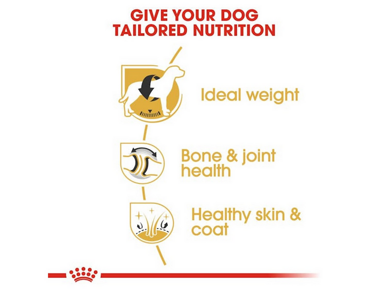 Royal Canin Labrador Retriever Adult 12kg