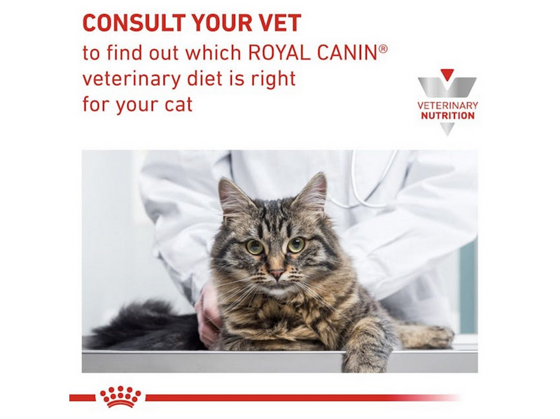 Royal Canin Gastrointestinal 2 kg