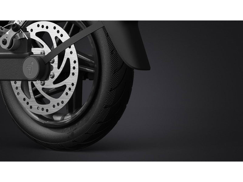 Segway Kickscooter F20D Dark Grey (20 km/h)