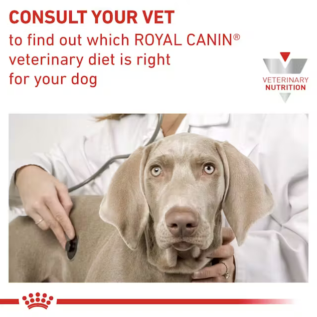 Royal Canin Urinary S/O Small Dog 1.5kg