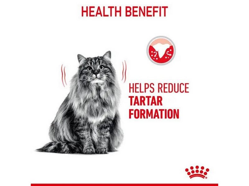 Royal Canin Dental Care 1.5kg