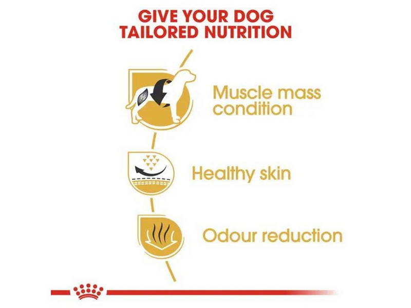 Royal Canin French Bulldog Adult 9kg