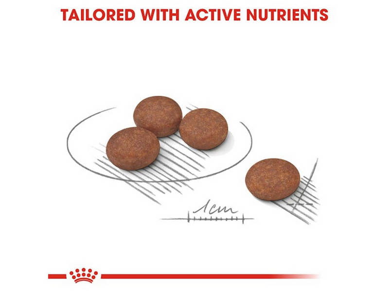 Royal Canin Mini Digestive Care 3kg