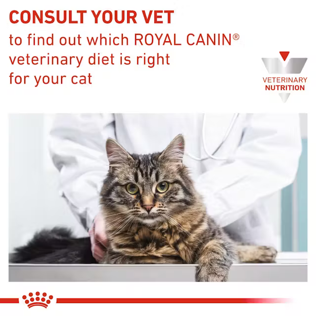 Royal Canin Sensitivity Control Chicken with Rice Thin Slices In Gravy 85g (12-Pack)