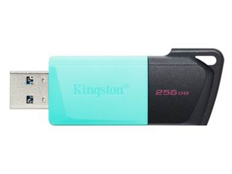 Kingston DataTraveler Exodia M - Blau - 256GB - USB-Stick