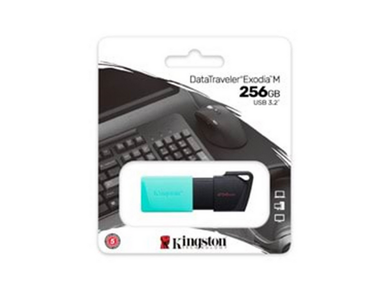 Kingston DataTraveler Exodia M - Blau - 256GB - USB-Stick