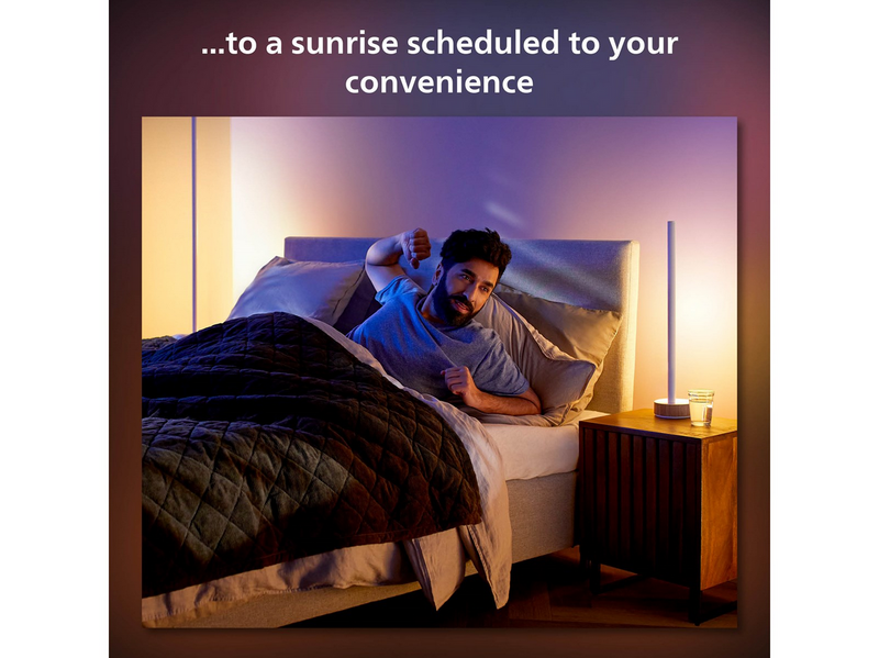 Philips Hue Gradient Signe Table - Oak
