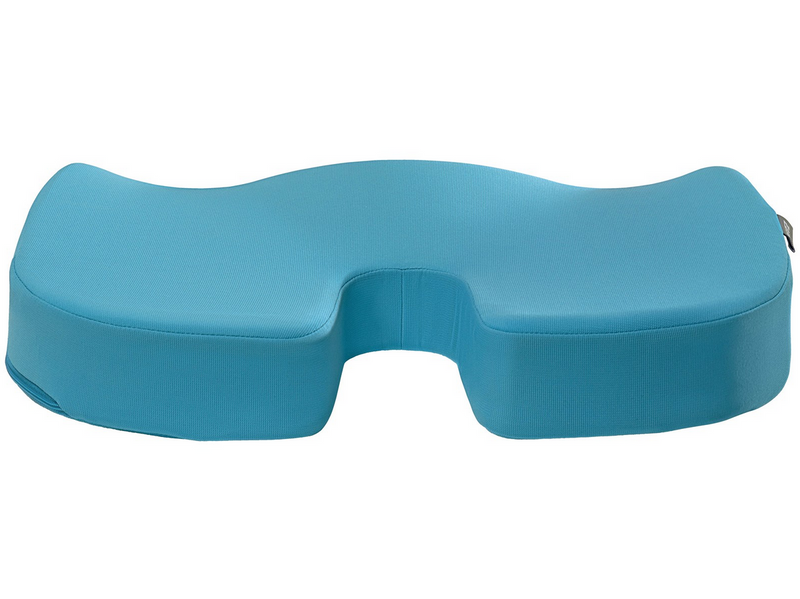 Leitz Ergo Cosy Sitzkissen, Blau