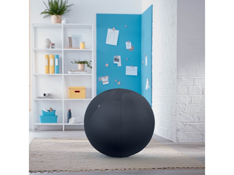 Leitz Ergo Cosy Active Sitzball für aktives Sitzen Samtgrau