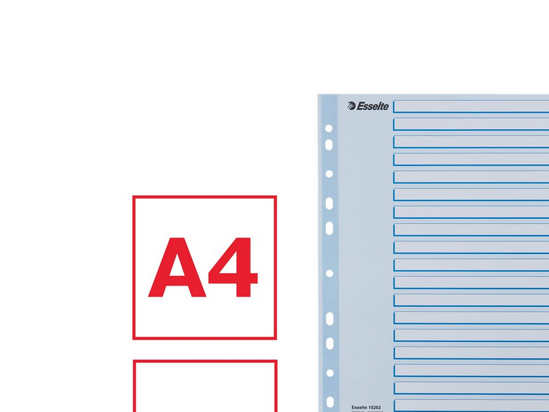 Esselte Faneblad PP A4 20-delt flerfarve