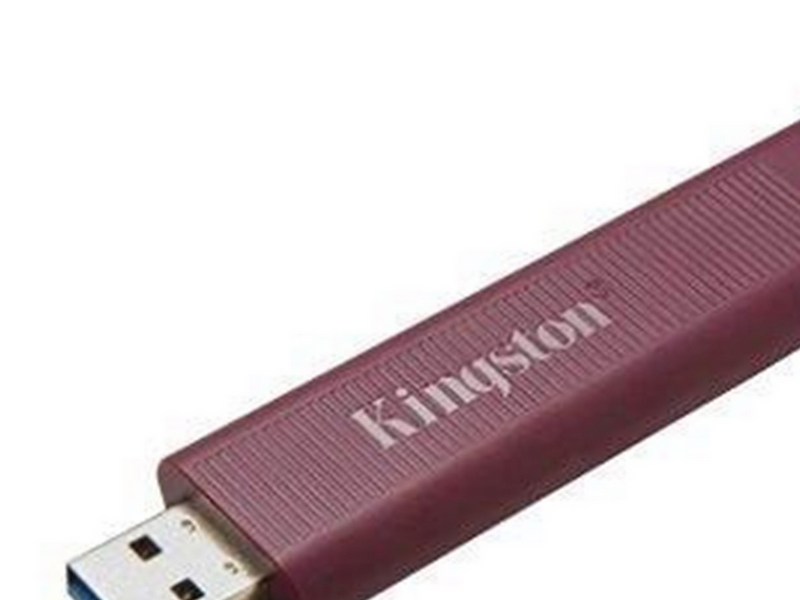 Kingston DataTraveler Max - Lila - 1TB - USB-Stick