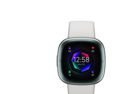Fitbit Sense 2 Lunar White/Platinum