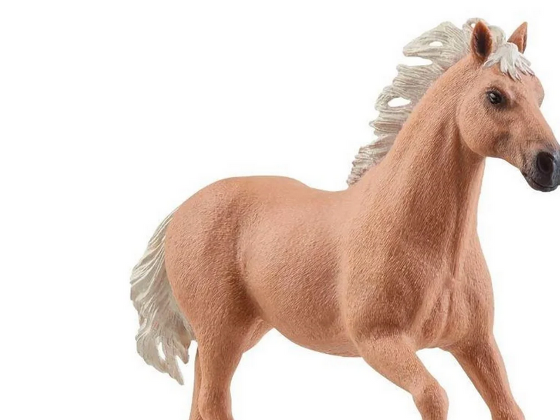 Schleich Western Riding Adventures