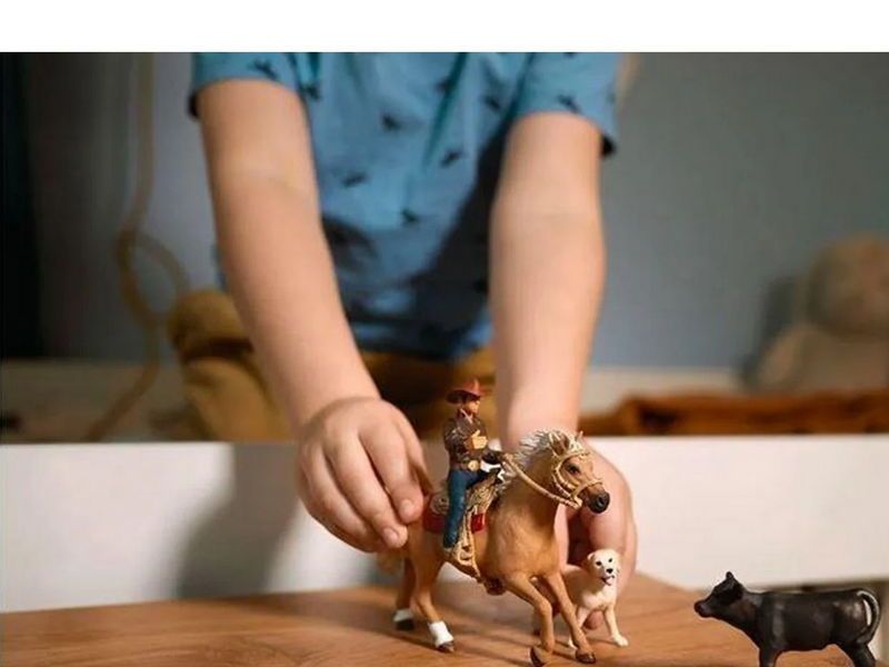 Schleich Western Riding Adventures