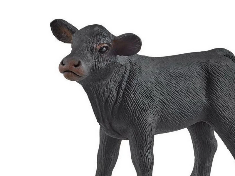 Schleich Western Riding Adventures
