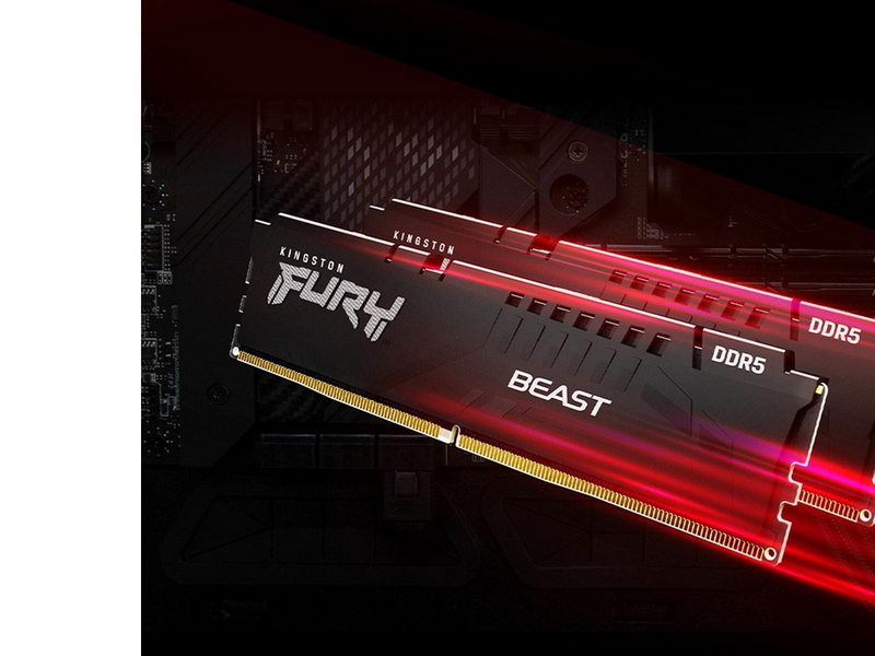 Kingston FURY Beast DDR5-5600 - 16GB - CL36 - Single Channel (1 pcs) - AMD EXPO & Intel XMP - Schwarz