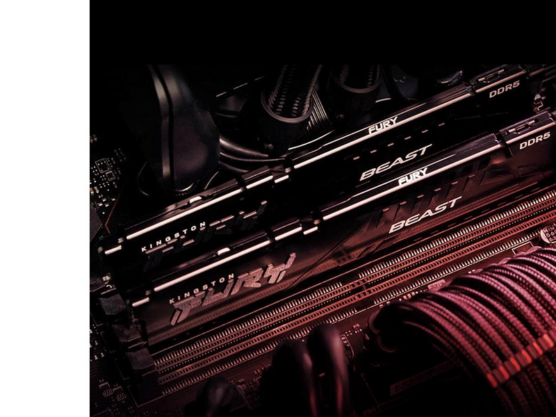 Kingston FURY Beast DDR5-5600 - 16GB - CL36 - Single Channel (1 pcs) - AMD EXPO & Intel XMP - Schwarz