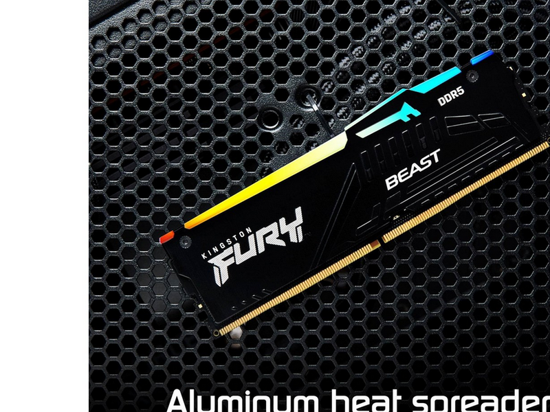 Kingston FURY Beast RGB DDR5-5600 - 32GB - CL36 - Dual Channel (2 pcs) - AMD EXPO & Intel XMP - Schwarz mit RGB