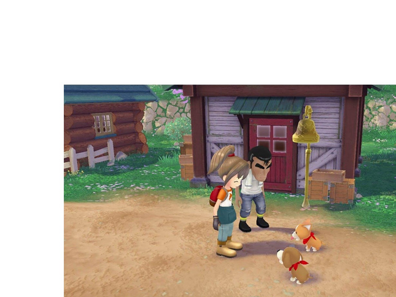 Story of Seasons: A Wonderful Life (Standard Edition) - Nintendo Switch - Simulation - PEGI 3