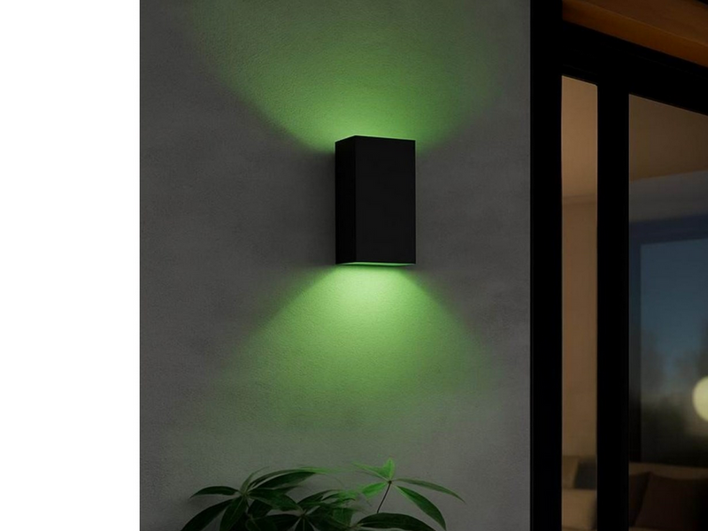 EGLO EREMITANA-Z outdoor wall lamp black