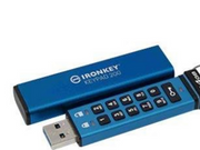 Kingston IronKey 200 - 64GB - USB-Stick
