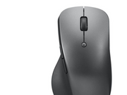 Lenovo Professional Bluetooth Rechargeable Mouse - Maus (Grau)