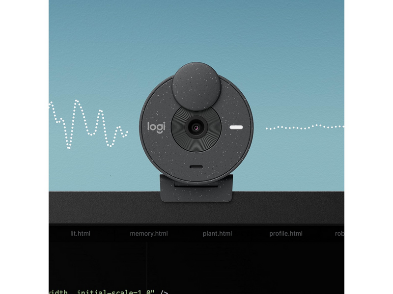 Logitech Brio 300 Full HD webcam - Graphite