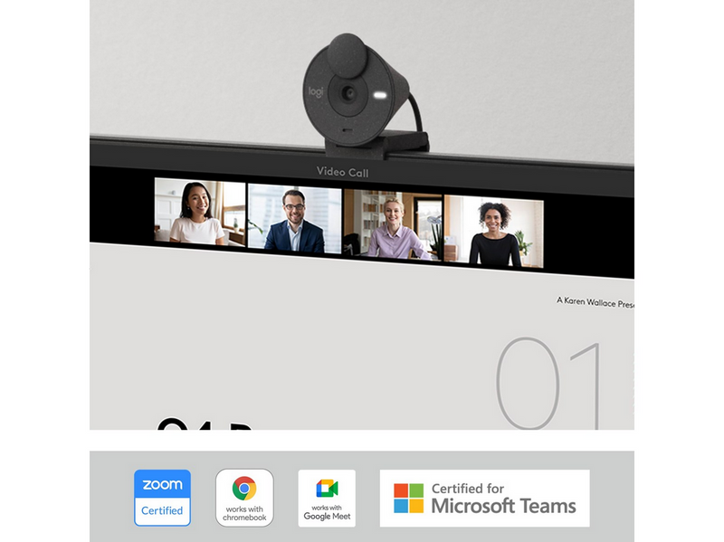 Logitech Brio 300 Full HD webcam - Graphite