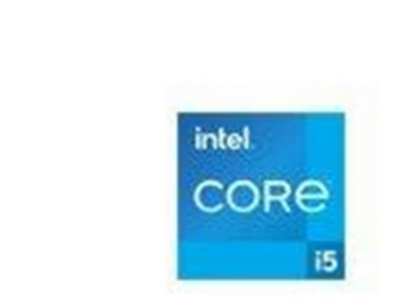 Intel Core i5 12400 / 2.5 GHz processor - OEM CPU - 6 Kerne - 2.5 GHz - Intel LGA1700 - Bulk (ohne Kühler)
