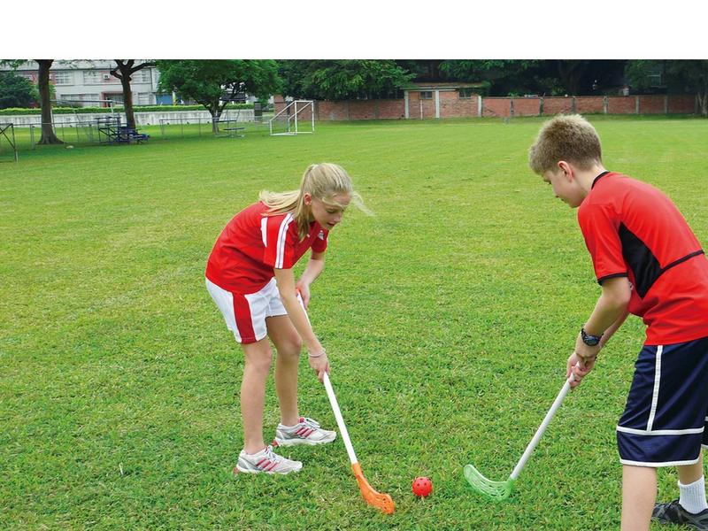 My Hood Hockey Goal