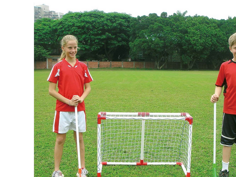 My Hood Hockey Goal